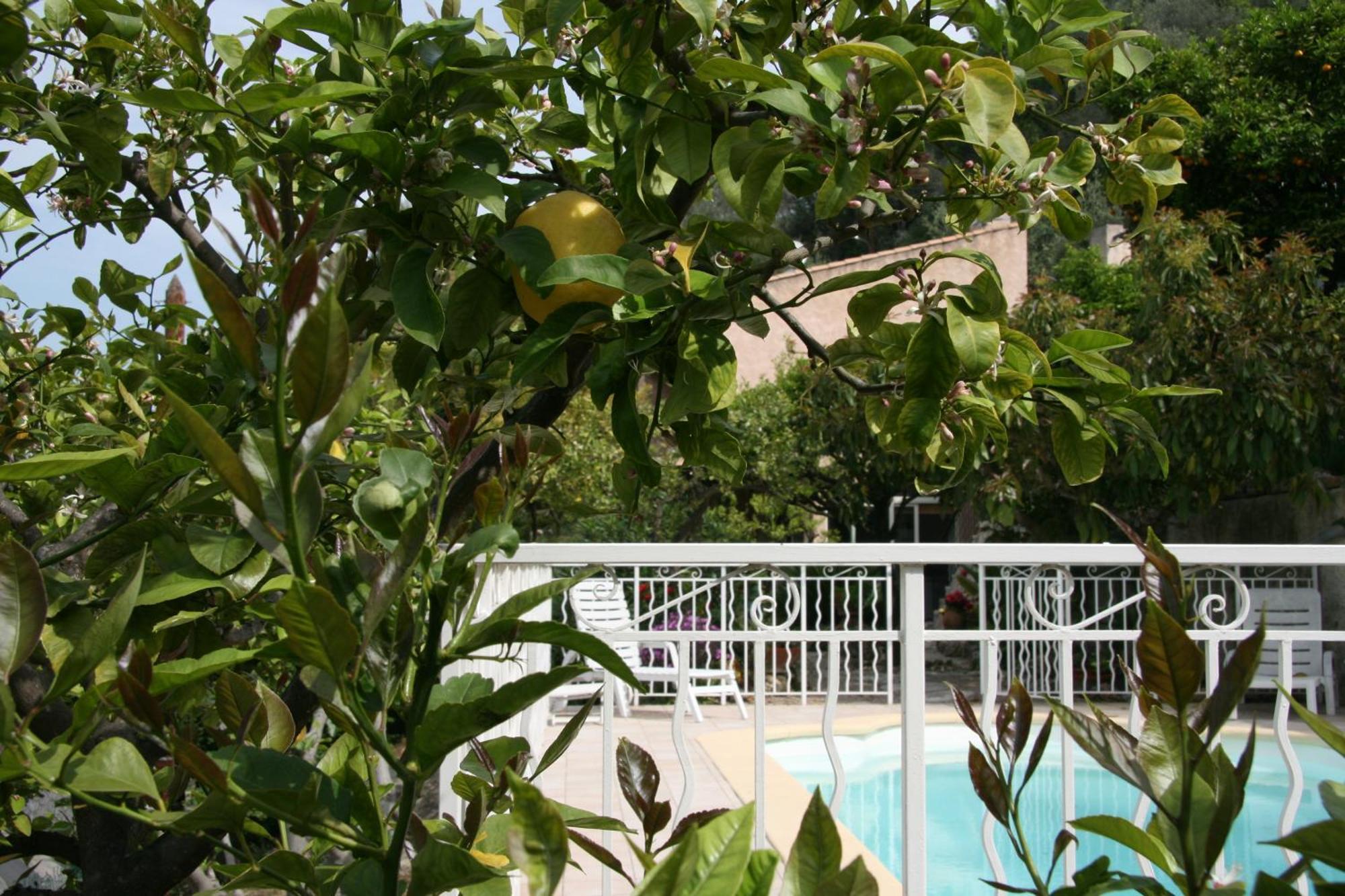 Hotel L'Aleandra Castellar Exterior foto